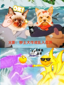 火影：秽土大作战乱入忍界